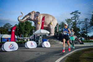 BIB: 
                            <button type="button" onclick="openModal(26542008)" class="btn btn-primary btn-sm float-right btn-popup" data-toggle="modal" data-target=".modal-high-quality">
                        <i class="fas fa-shopping-cart"></i> Add to Cart
                    </button>
                                            <button type="button" onclick="isThisMe(26542008, true)" class="btn btn-success btn-sm float-right btn-popup btn-isme hidden" data-toggle="tooltip" data-placement="bottom" title="นี่คือรูปของคุณใช่ไหม คลิกที่นี่เพื่อเอาเข้าอัลบั้ม">
                        <i class="fas fa-plus"></i> Add to album
                    </button>
                    <button type="button" onclick="isThisMe(26542008, false)" class="btn btn-warning btn-sm float-right btn-popup btn-isnotme hidden">
                        <i class="fas fa-ban"></i> Remove from album
                    </button>